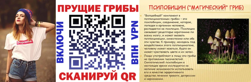 купить наркоту  Большой Камень  Псилоцибиновые грибы Magic Shrooms 