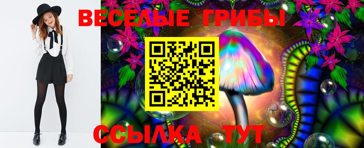 Псилоцибиновые грибы ЛСД Большой Камень